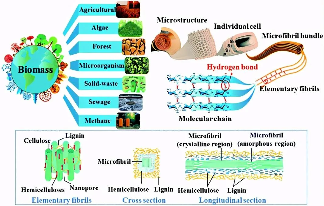 Polymer Materials
